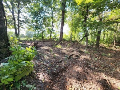 Golfer's Paradise! Build your beautiful dream home on this on  in Arkansas - for sale on GolfHomes.com, golf home, golf lot