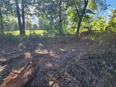 Golfer's Paradise! Build your beautiful dream home on this on  in Arkansas - for sale on GolfHomes.com, golf home, golf lot