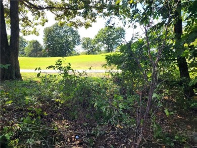 Golfer's Paradise! Build your beautiful dream home on this on  in Arkansas - for sale on GolfHomes.com, golf home, golf lot