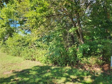 Golfer's Paradise! Build your beautiful dream home on this on  in Arkansas - for sale on GolfHomes.com, golf home, golf lot