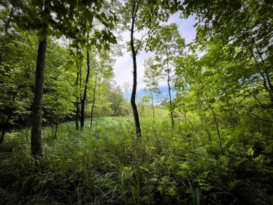 Stretching north and north west from Marsh Road this enchanting on Raymondville Golf and Country Club in New York - for sale on GolfHomes.com, golf home, golf lot