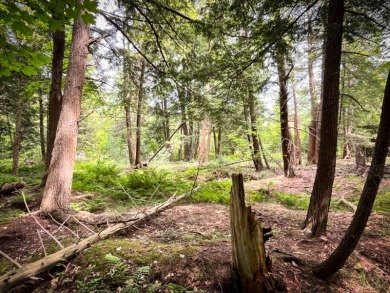 Stretching north and north west from Marsh Road this enchanting on Raymondville Golf and Country Club in New York - for sale on GolfHomes.com, golf home, golf lot