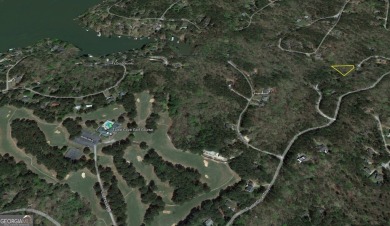 Enjoy the lake life with and build your dream home in Turtle on Turtle Cove Golf Course in Georgia - for sale on GolfHomes.com, golf home, golf lot