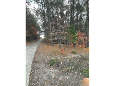 WOW!!! A golfer's dream! This large 0.37 acre residential lot on Granada Golf Course in Arkansas - for sale on GolfHomes.com, golf home, golf lot