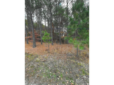 WOW!!! A golfer's dream! This large 0.37 acre residential lot on Granada Golf Course in Arkansas - for sale on GolfHomes.com, golf home, golf lot