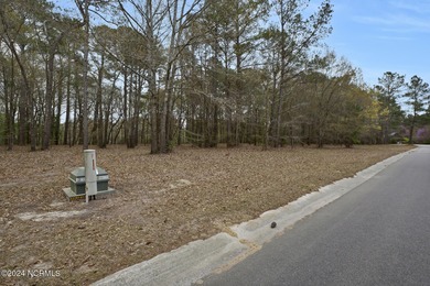 Opportunity for riverfront living in one of the most beautiful on River Landing Golf Course in North Carolina - for sale on GolfHomes.com, golf home, golf lot