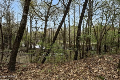 Opportunity for riverfront living in one of the most beautiful on River Landing Golf Course in North Carolina - for sale on GolfHomes.com, golf home, golf lot