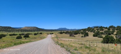 Whether you're an outdoor enthusiast or just want to carve out on  in New Mexico - for sale on GolfHomes.com, golf home, golf lot