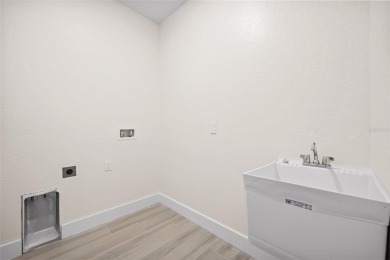 JUST COMPLETED! BRAND NEW, CUSTOM-BUILT 3 BED + DEN, 2 BATH on Rotonda Golf and Country Club - Long Marsh  in Florida - for sale on GolfHomes.com, golf home, golf lot