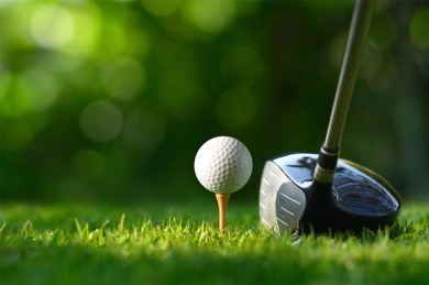 Golf, indoor and outdoor pools, tennis, movies and pickleball on Sunrise Lakes Phase III in Florida - for sale on GolfHomes.com, golf home, golf lot
