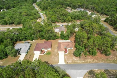 IT WOULD BE SILLY TO MISS THIS ONE ON TINY LILLY! All financing on Citrus Springs Country Club in Florida - for sale on GolfHomes.com, golf home, golf lot