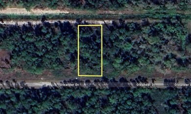 Come build your forever home on this one-half acre lot located on Indian Lake Estates Golf and Country Club in Florida - for sale on GolfHomes.com, golf home, golf lot