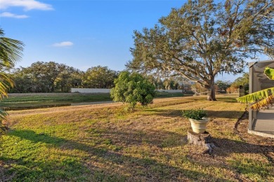 ***THIS HOME WAS IMPACTED BY HURRICANE HELENE AND HAS NEVER on Airco Golf Course in Florida - for sale on GolfHomes.com, golf home, golf lot