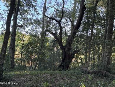 594 Medcalf Drive SW on Oyster Bay Golf Links in North Carolina - for sale on GolfHomes.com, golf home, golf lot