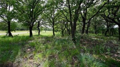 Choose Your Own Style on Nocona Hills Golf Course in Texas - for sale on GolfHomes.com, golf home, golf lot