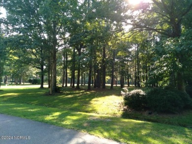 This lot is located in Albemarle Plantation at the 5th green and on Sound Golf Links at Albemarle Plantation in North Carolina - for sale on GolfHomes.com, golf home, golf lot