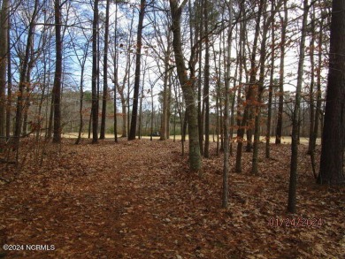 This lot is located in Albemarle Plantation at the 5th green and on Sound Golf Links at Albemarle Plantation in North Carolina - for sale on GolfHomes.com, golf home, golf lot