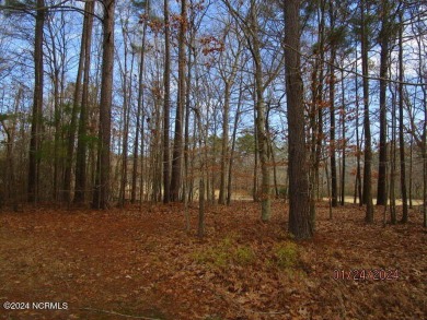 This lot is located in Albemarle Plantation at the 5th green and on Sound Golf Links at Albemarle Plantation in North Carolina - for sale on GolfHomes.com, golf home, golf lot