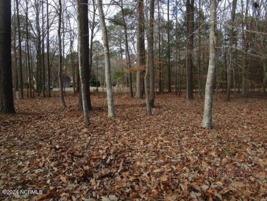 This lot is located in Albemarle Plantation at the 5th green and on Sound Golf Links at Albemarle Plantation in North Carolina - for sale on GolfHomes.com, golf home, golf lot