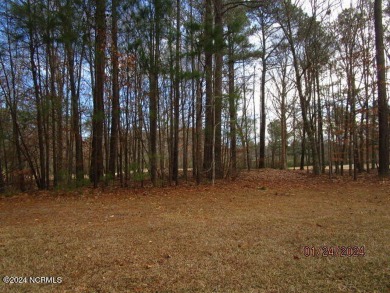 This lot is located in Albemarle Plantation at the 5th green and on Sound Golf Links at Albemarle Plantation in North Carolina - for sale on GolfHomes.com, golf home, golf lot