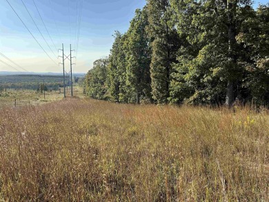 This beautiful 40 acres nestled in the hills of Cleburne County on Tannenbaum Golf Club in Arkansas - for sale on GolfHomes.com, golf home, golf lot