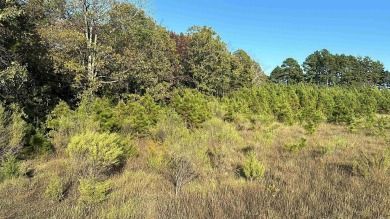 This beautiful 40 acres nestled in the hills of Cleburne County on Tannenbaum Golf Club in Arkansas - for sale on GolfHomes.com, golf home, golf lot