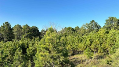 This beautiful 40 acres nestled in the hills of Cleburne County on Tannenbaum Golf Club in Arkansas - for sale on GolfHomes.com, golf home, golf lot