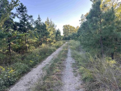 This beautiful 40 acres nestled in the hills of Cleburne County on Tannenbaum Golf Club in Arkansas - for sale on GolfHomes.com, golf home, golf lot