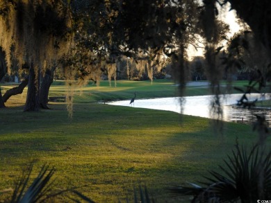 Beautiful, wooded, 1/2 acre homesite located on a small, cul de on DeBordieu Country Club in South Carolina - for sale on GolfHomes.com, golf home, golf lot