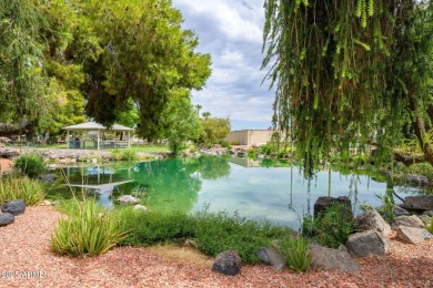 Beautifully Updated Sun City Home - Prime Location!
This on PalmBrook Country Club in Arizona - for sale on GolfHomes.com, golf home, golf lot