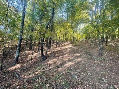 Attention Builders! This exceptional lakefront lot located in a on Granada Golf Course in Arkansas - for sale on GolfHomes.com, golf home, golf lot