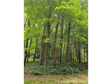 Beautiful Scenic Building Site -- Just Minutes from Downtown on Clearbrook Golf Club in Michigan - for sale on GolfHomes.com, golf home, golf lot
