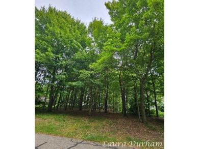 Beautiful Scenic Building Site -- Just Minutes from Downtown on Clearbrook Golf Club in Michigan - for sale on GolfHomes.com, golf home, golf lot