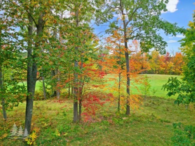 Tucked in the heart of Garland Golf Resort, this full-share on Garland Resort and Golf Club  in Michigan - for sale on GolfHomes.com, golf home, golf lot