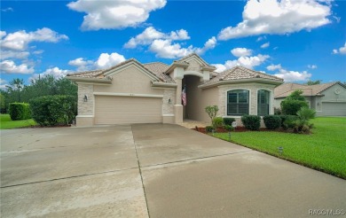 This 3+ bedroom 3.5 bath home is located in the first-class on Skyview At Terra Vista Golf and Country Club in Florida - for sale on GolfHomes.com, golf home, golf lot