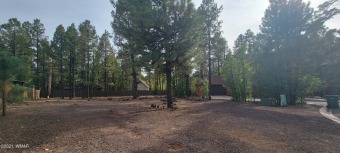 Welcome to the Pinetop Country Club area with a Big 1/3 of an on Pinetop Lakes Country Club in Arizona - for sale on GolfHomes.com, golf home, golf lot