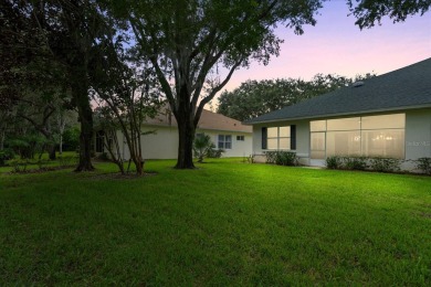 Welcome to your dream home at 1117 Athlone Way in Ormond Beach! on Halifax Plantation Golf Club in Florida - for sale on GolfHomes.com, golf home, golf lot