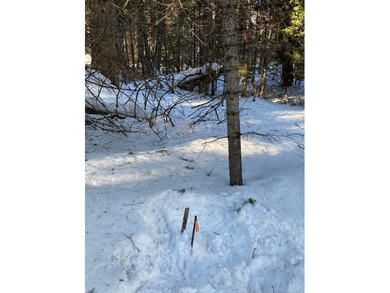 Build Your Mountain Getaway Near Tamarack Resort! This beautiful on Osprey Meadows at Tamarack Resort in Idaho - for sale on GolfHomes.com, golf home, golf lot