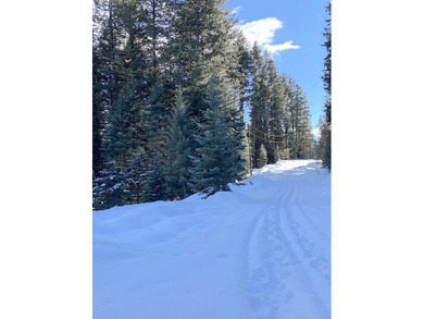 Build Your Mountain Getaway Near Tamarack Resort! This beautiful on Osprey Meadows at Tamarack Resort in Idaho - for sale on GolfHomes.com, golf home, golf lot