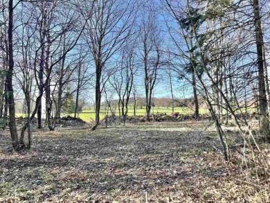 Dare to Dream? Are you looking for a great spot to build your on Eagle Bluff Golf Course in Wisconsin - for sale on GolfHomes.com, golf home, golf lot