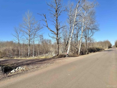 Dare to Dream? Are you looking for a great spot to build your on Eagle Bluff Golf Course in Wisconsin - for sale on GolfHomes.com, golf home, golf lot