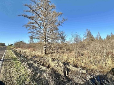 Dare to Dream? Are you looking for a great spot to build your on Eagle Bluff Golf Course in Wisconsin - for sale on GolfHomes.com, golf home, golf lot