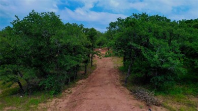 Tree Top Views on Nocona Hills Golf Course in Texas - for sale on GolfHomes.com, golf home, golf lot