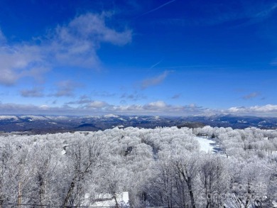 Discover your dream mountain home with this stunning Beech on Beech Mountain Club in North Carolina - for sale on GolfHomes.com, golf home, golf lot