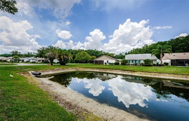 Welcome to carefree Florida living in this move-in ready on Summertree Golf Course in Florida - for sale on GolfHomes.com, golf home, golf lot