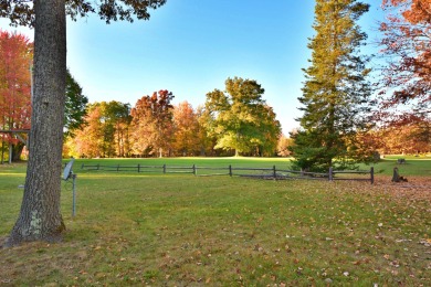 Enjoy golf course living with this charming 2-bedroom, 2-bath on Birch Pointe Golf Club in Michigan - for sale on GolfHomes.com, golf home, golf lot