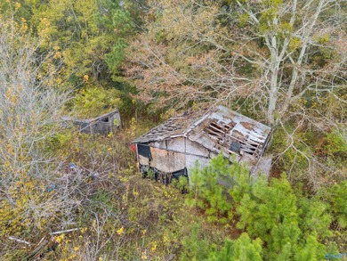 Perfect 1-acre retreat on Gentry Road-just 10 minutes to on Brookside Golf Course in AL - for sale on GolfHomes.com, golf home, golf lot