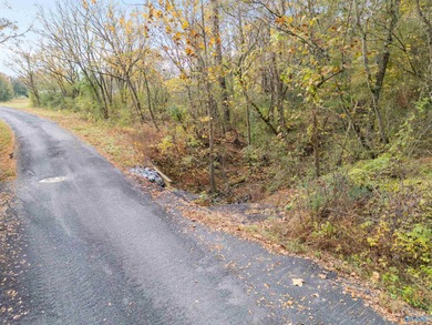 Perfect 1-acre retreat on Gentry Road-just 10 minutes to on Brookside Golf Course in AL - for sale on GolfHomes.com, golf home, golf lot