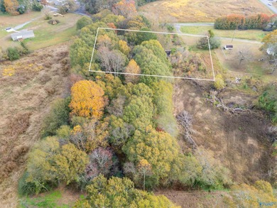 Perfect 1-acre retreat on Gentry Road-just 10 minutes to on Brookside Golf Course in AL - for sale on GolfHomes.com, golf home, golf lot