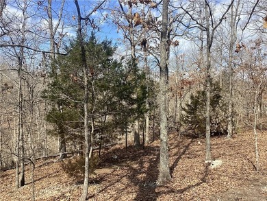 Come and see this fantastic buildable lot in the desirable on Branchwood Golf Course in Arkansas - for sale on GolfHomes.com, golf home, golf lot